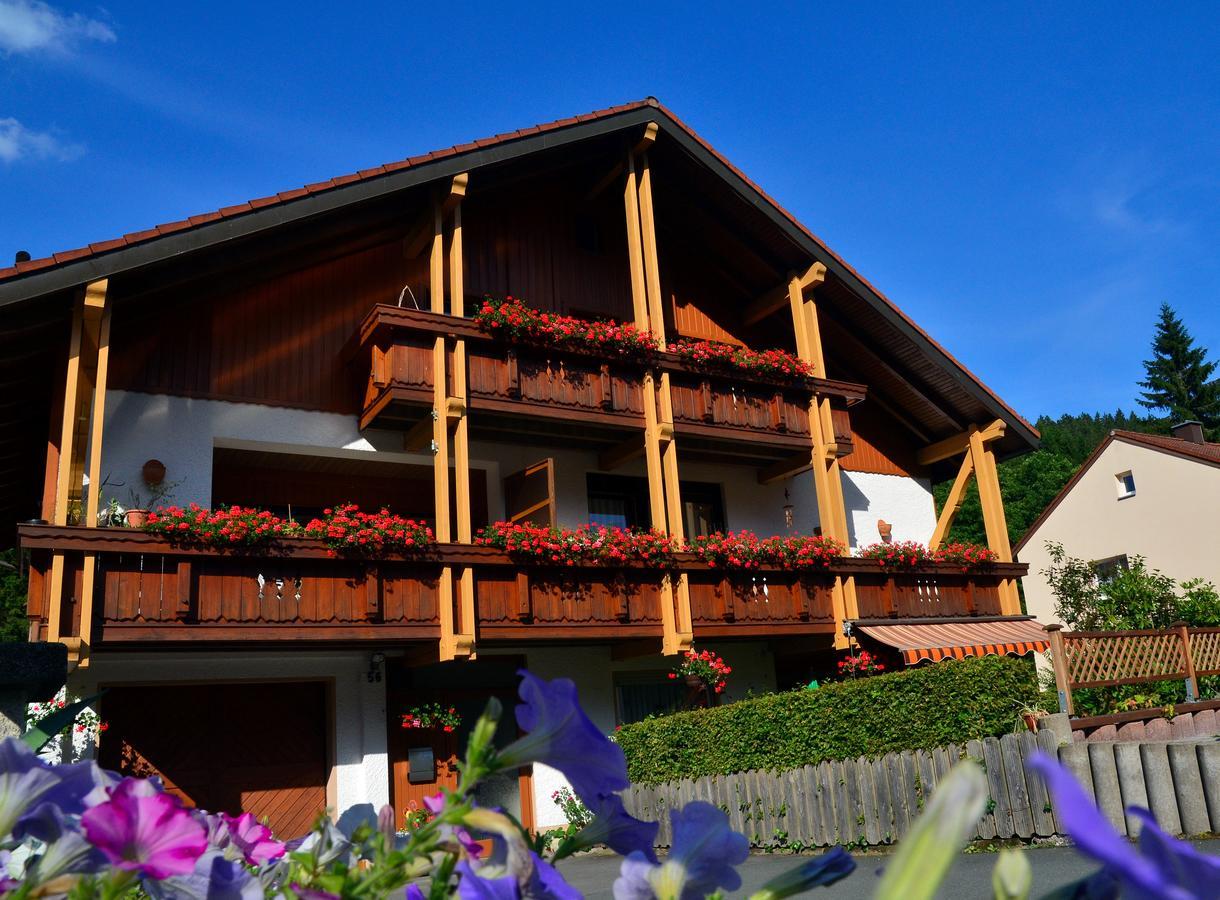 Pension Mausbachtal Warmensteinach Exterior foto