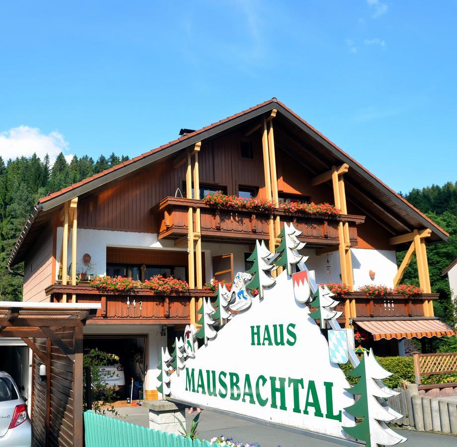 Pension Mausbachtal Warmensteinach Exterior foto